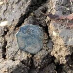 Garrett Apex Dedektörle Bulunan Sikkeler - 2