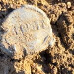 Garrett Apex Dedektörle Bulunan Sikkeler - 5