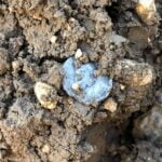 Garrett Apex Dedektörle Bulunan Sikkeler - 6