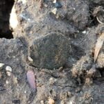 Garrett Apex Dedektörle Bulunan Sikkeler - 7