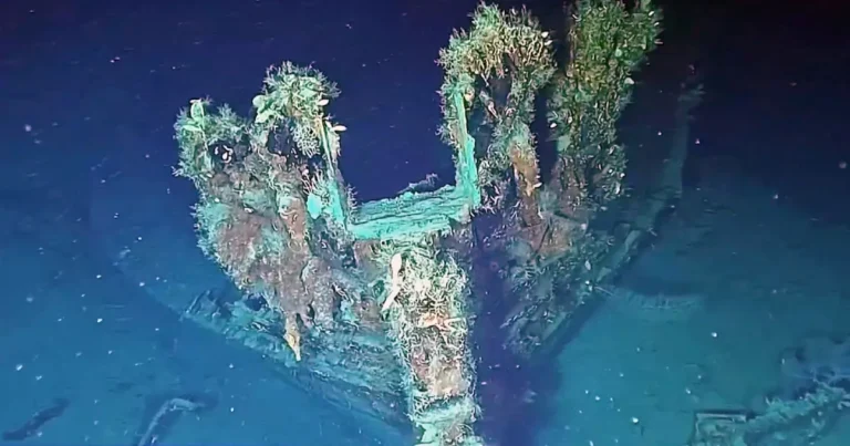 17-milyar-dolarlik-hazine_Kapak