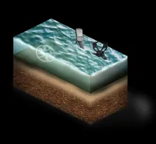 Minelab Equinox 700 Dedektör 6